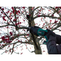 Reciprocating saw 20V - 2.0Ah | Incl. 5 saw blades (Made in Germany) 